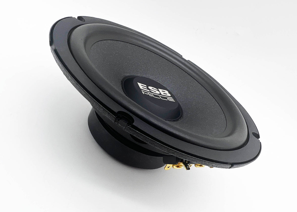 ESB 1.6K2X - 1000 Series 2-Way Speaker System