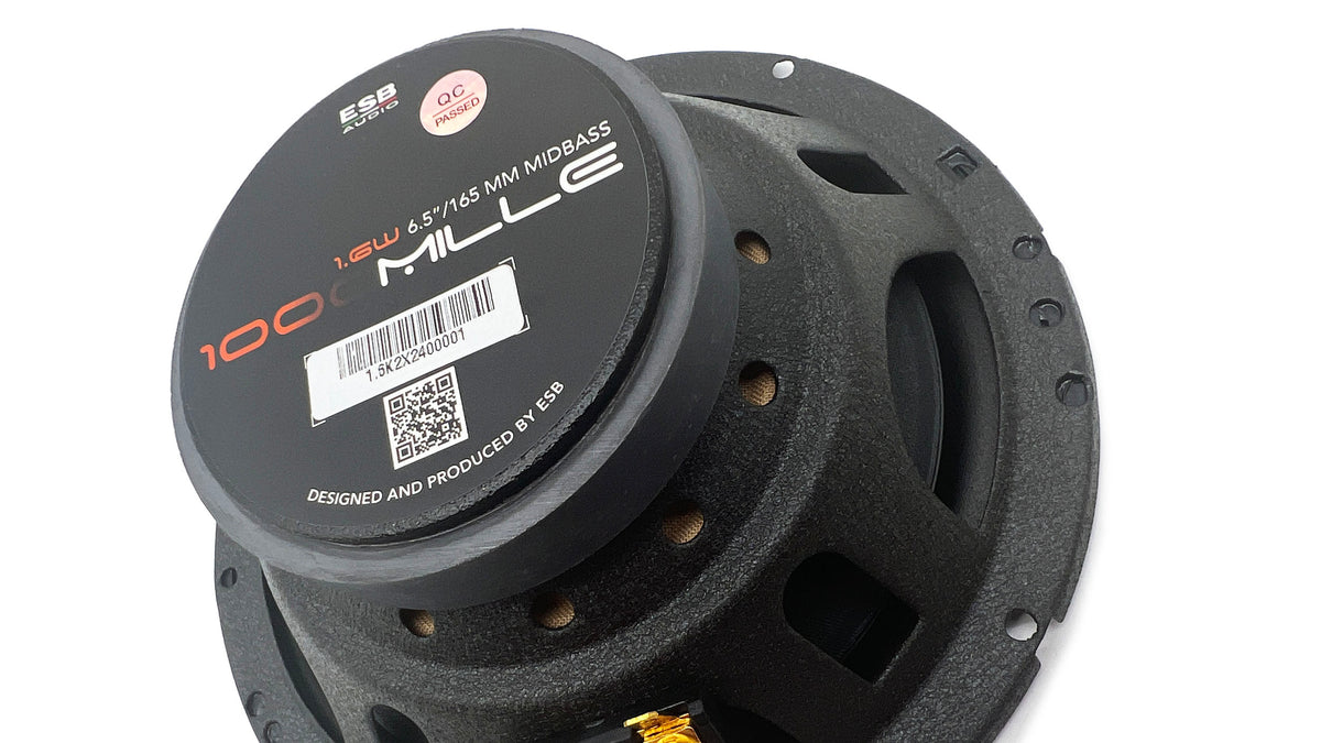ESB 1.6K2X - 1000 Series 2-Way Speaker System