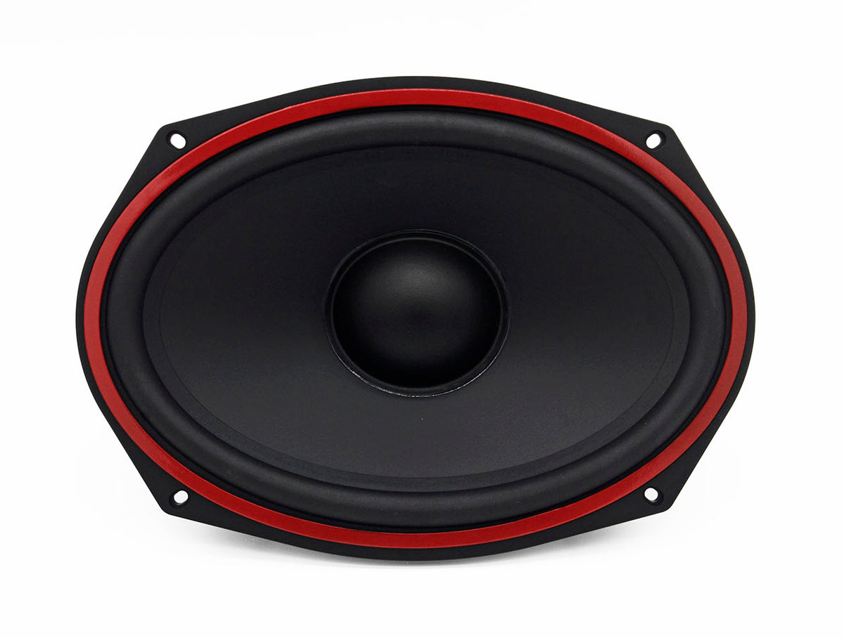 ESB 3.69 - 3000 Series 6x9 Woofer