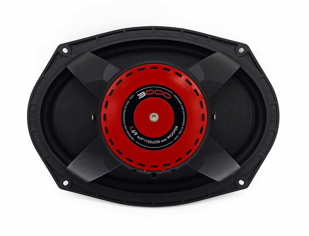 ESB 3.69 - 3000 Series 6x9 Woofer